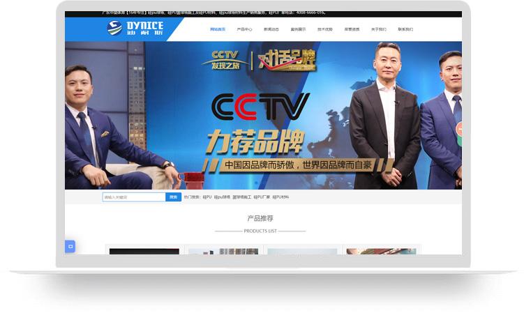 硅PU球場網站建設優化案例：廣東中星體育設施有限公司